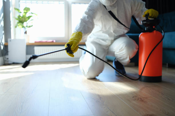 Reliable Odor Removal contractor in Waterbury, CT by Trauma Clean Pros